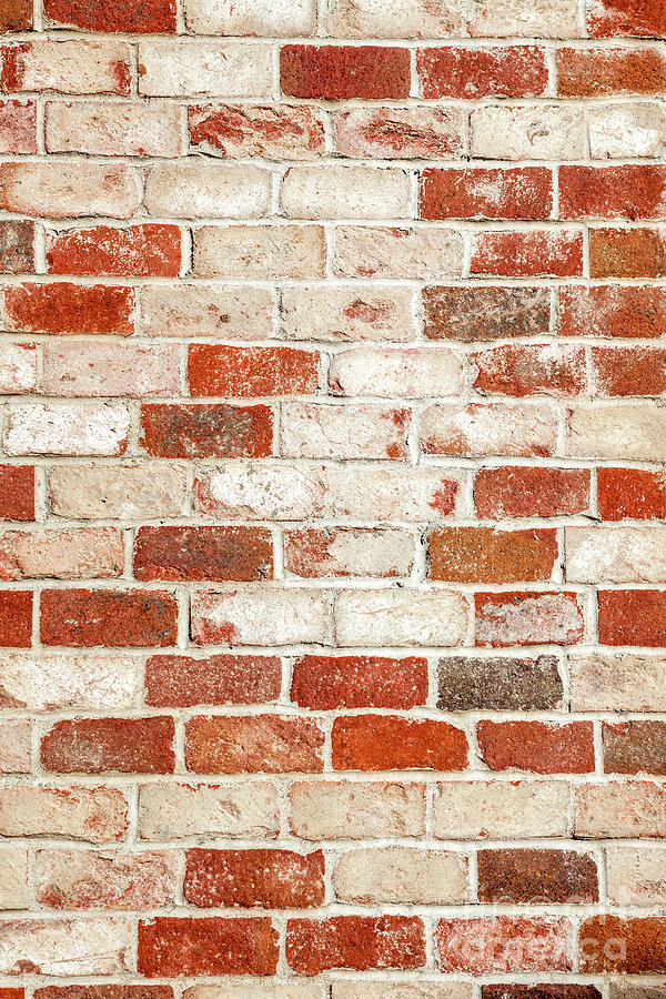 Brick wall Photograph by Bryan Mullennix