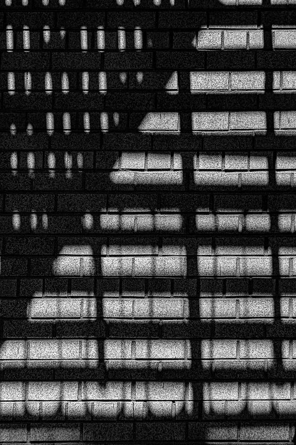 Brick Wall - Light And Shadow Photograph