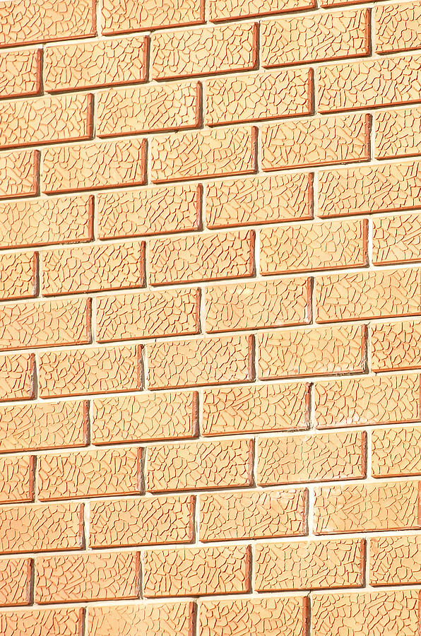 Brick wall.Background Photograph by Grotmarsel