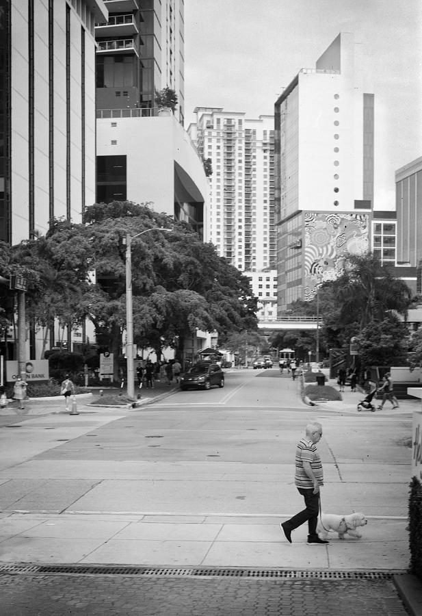 Brickell Ave, Miami -2 Photograph by Rudy Umans
