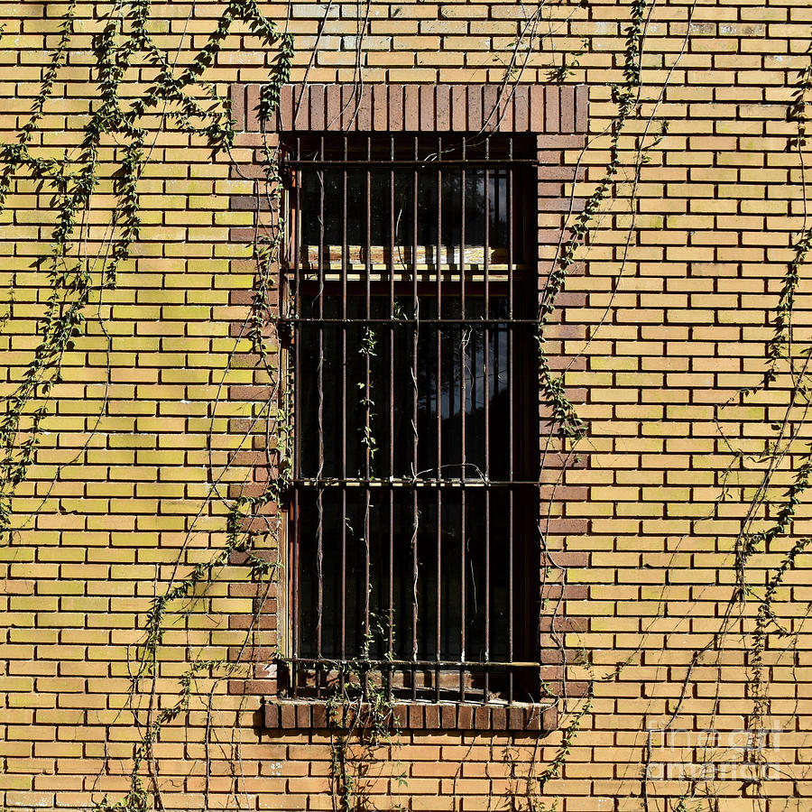 Bricks And Bars Photograph by Ron Long