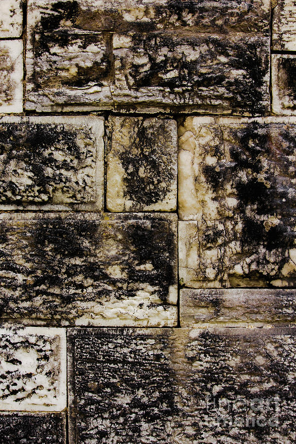 Brickwork Closeup Vertical Photograph by Eddie Barron