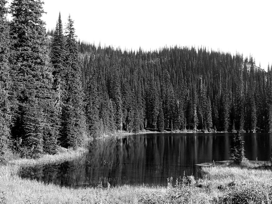 Bridal Lake Monochrome Photograph by Will Borden