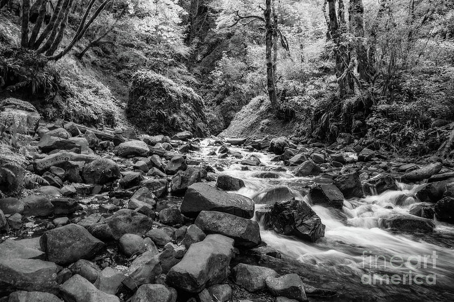 Bridal Veil Creek - BW Photograph by Scott Pellegrin