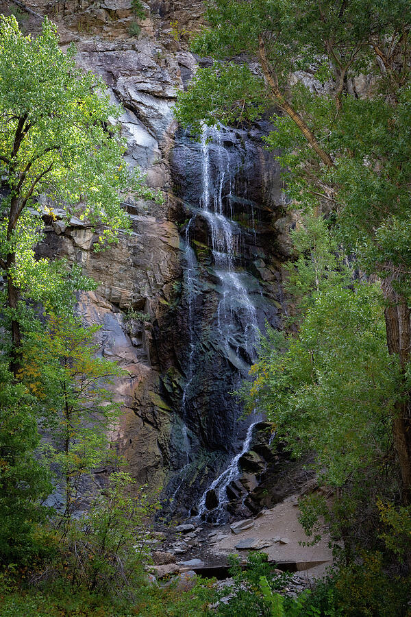 Serene Forest Waterfall Photograph - Bridal Veil Falls by Cindy Robinson