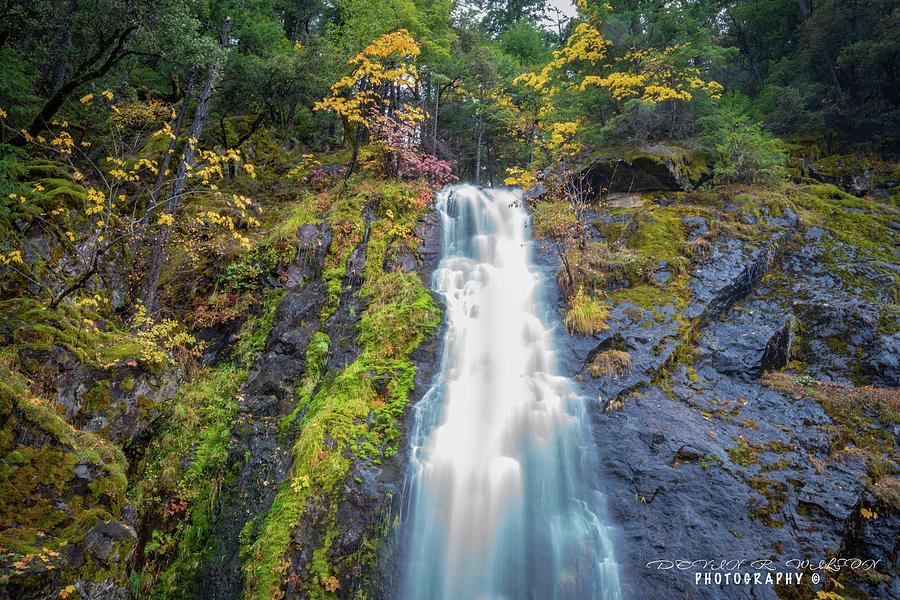 Bridal Veil Falls Photograph by Devin Wilson