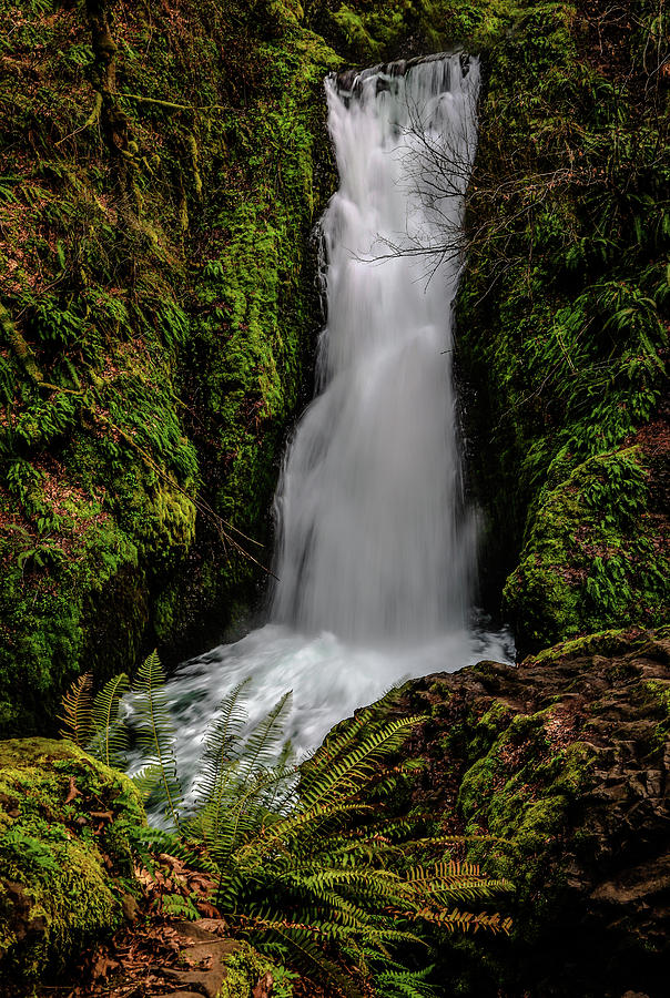Bridal Veil Falls In Oregons Forest Photograph by Athena Mckinzie