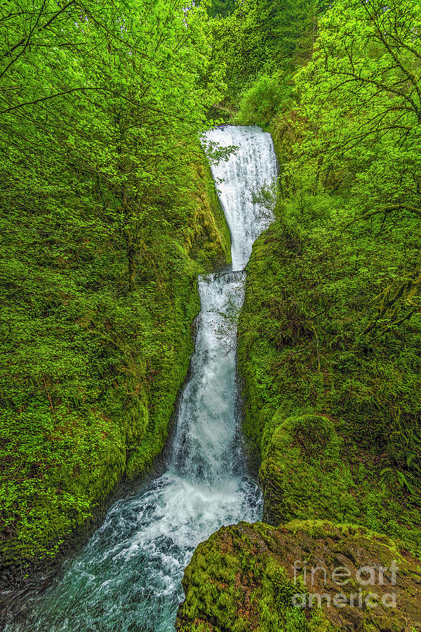 Bridal Veil Falls Photograph by Jon Burch Photography