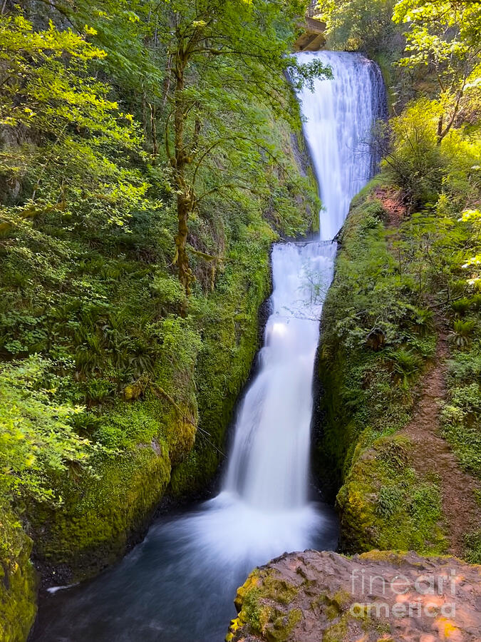 Portland Photograph - Bridal Veil Falls by Saving Memories By Making Memories