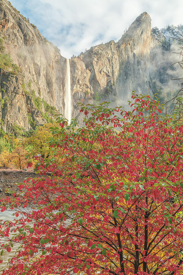 Bridalveil Fall and Red Leaf Photograph by Bill Roberts