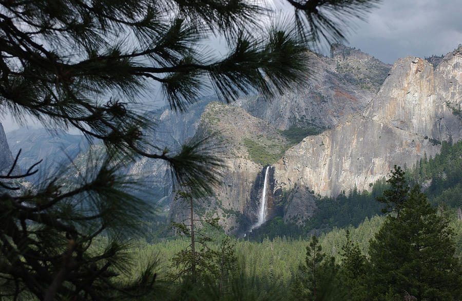 Bridalveil Falls, Yosemite National Park Photograph by Bonnie Colgan