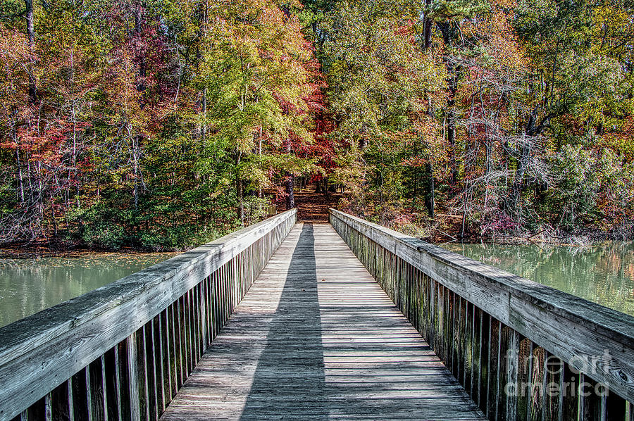 Bridge #2 In Autumn Photograph