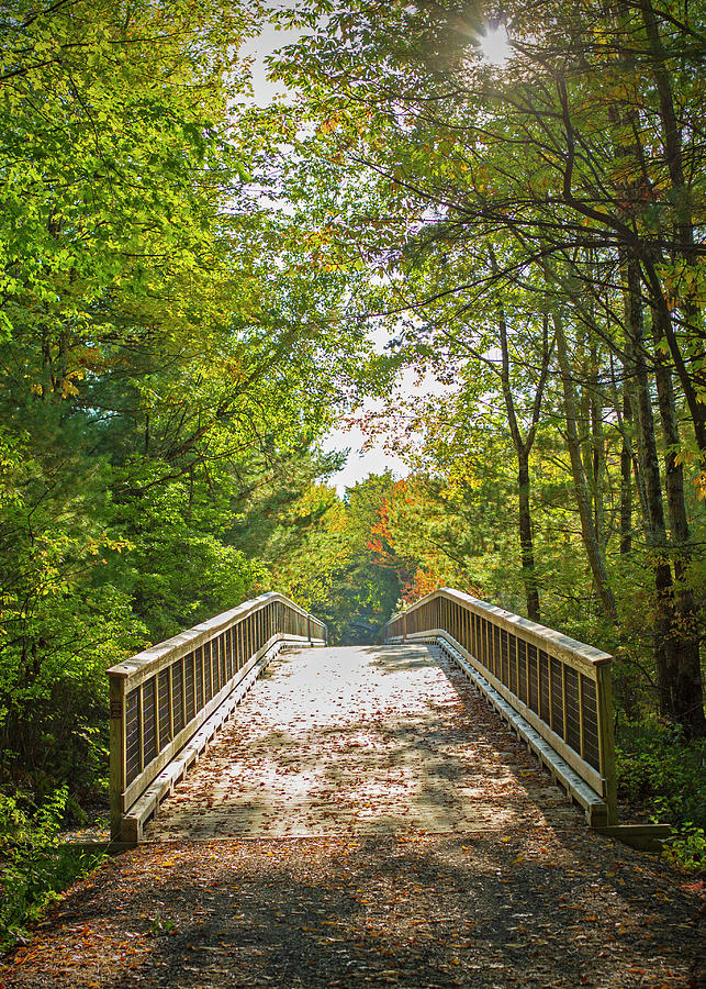 Bridge along the Ashokan Photograph by Quinn Baganz | Fine Art America