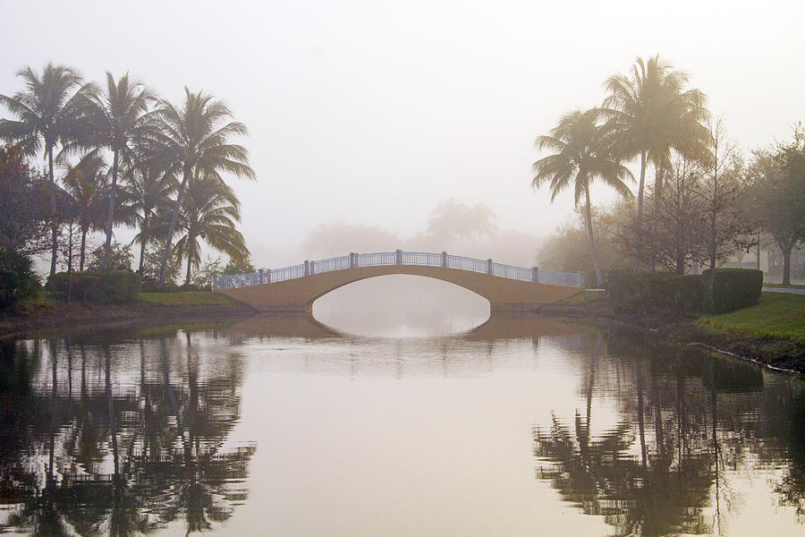 Bridge and Palms in Fog Photograph by Nautical Chartworks