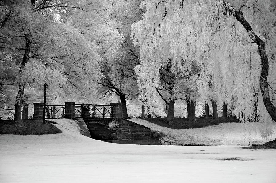 Bridge at Colgate University Photograph by Jill Love Bridge at Colgate University Photograph by Jill Love