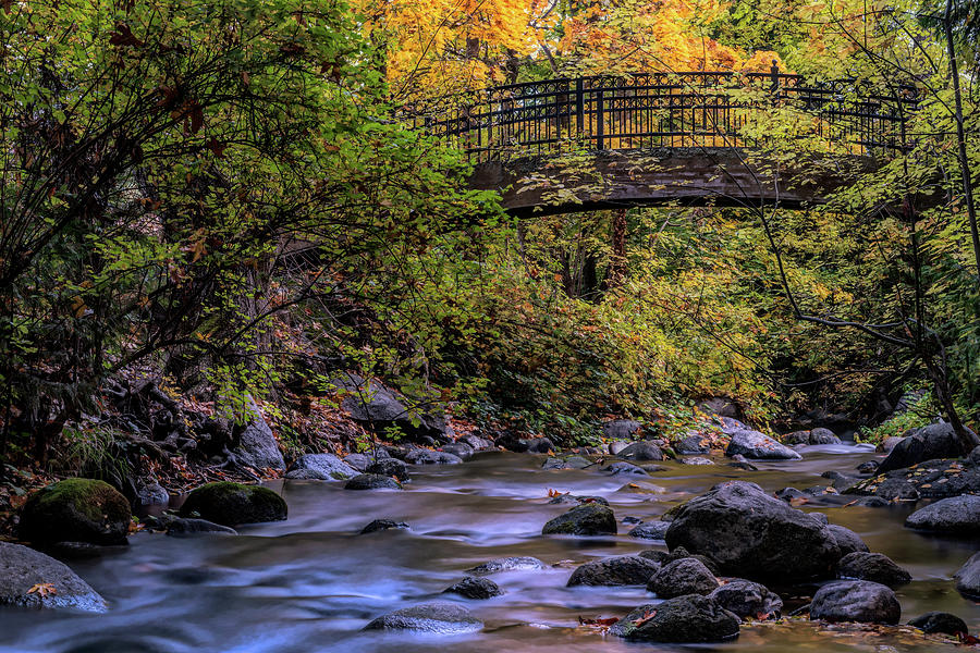 Bridge at Lithia Park by the creek Photograph by Alessandra RC