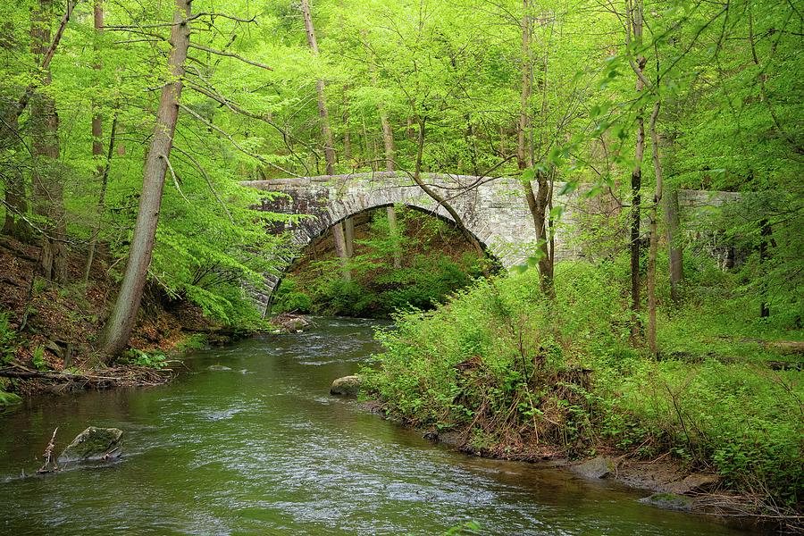 Rockefeller Preserve Park, New York Photograph by Ray Whitt - Fine Art ...