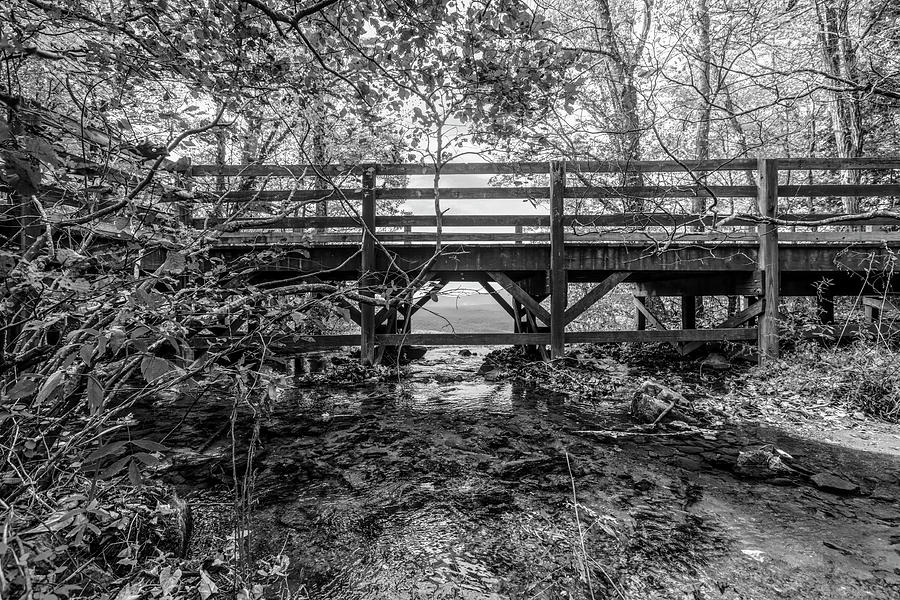 Bridge at the Top of Amicalola Falls Black and White Photograph by Debra and Dave Vanderlaan