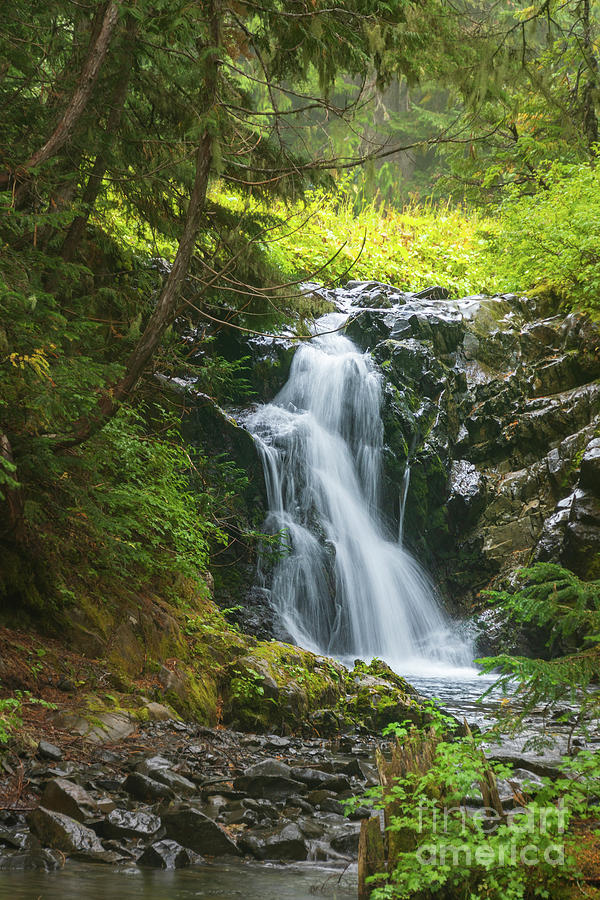 Olympic National Park Photograph - Bridge Creek Waterfall at Sol Duc Park Campsites by Nancy Gleason