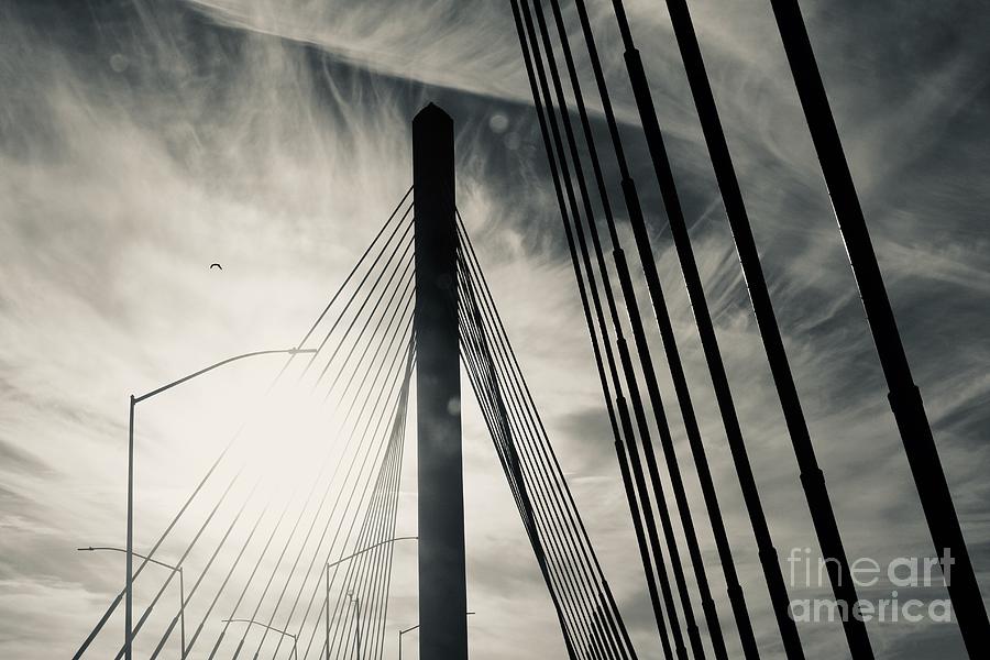 Bridge Design Photograph by Katherine Erickson