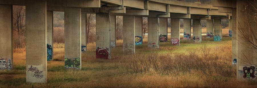 Bridge Graffiti Photograph by Patti Deters