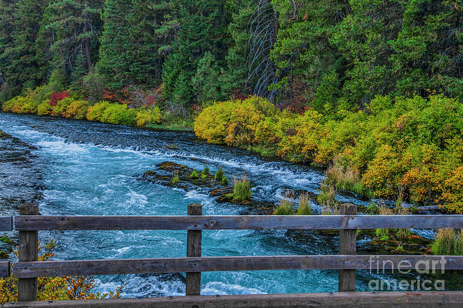 Bridge in Autumn, Fall Colors, Fall Leaves, River, River Bend, Oregon, Outdoors, Nature,  Digital Art by David Millenheft