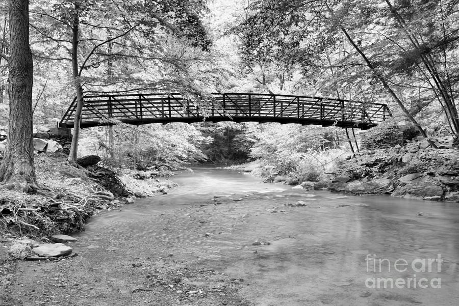 Bridge In The Duff Park Forest Black And White Photograph by Adam Jewell