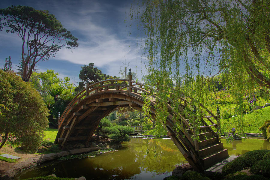 Bridge in the Huntington Chinese Botanical Garden Photograph by Randall Nyhof