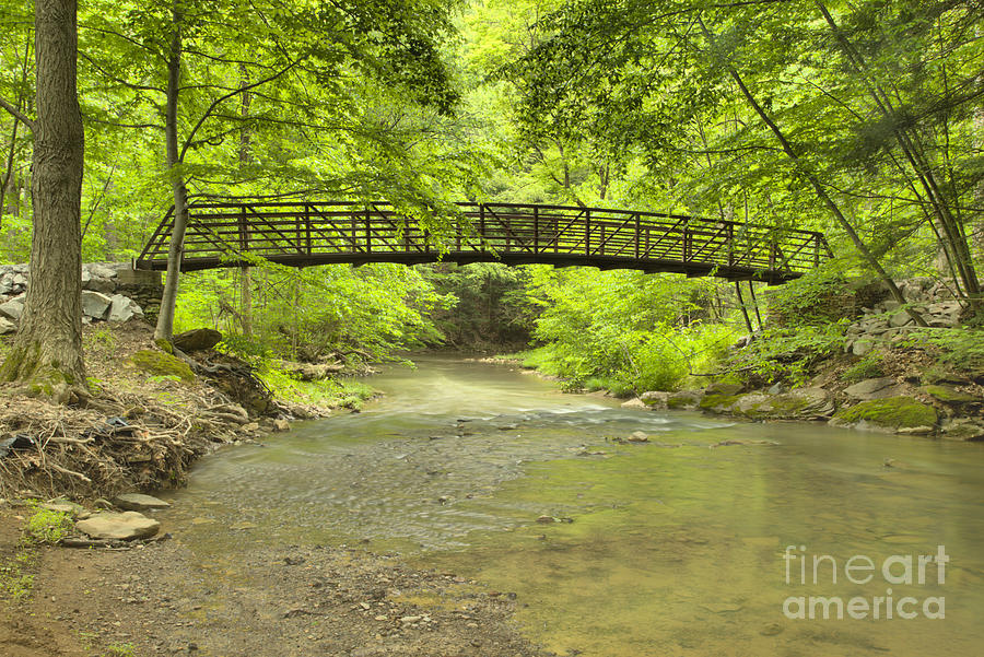 Bridge In The Lush Pennsylvania Forest Photograph by Adam Jewell