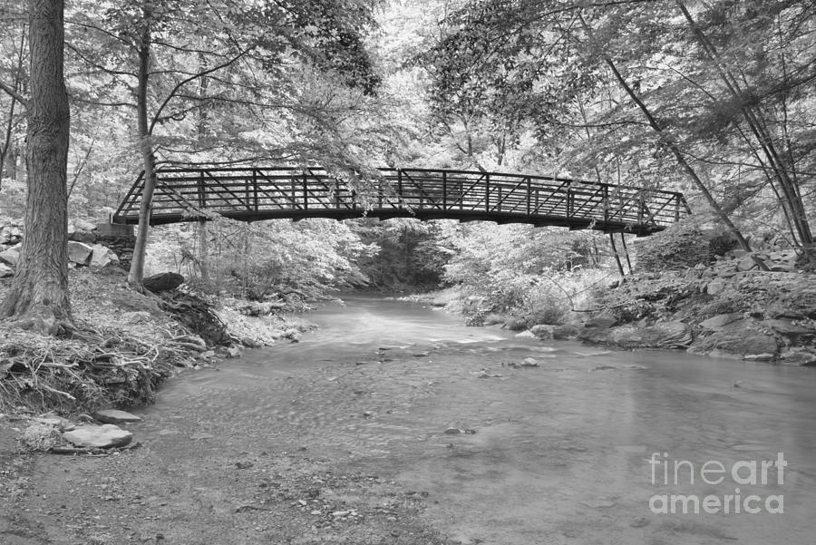 Bridge In The Lush Pennsylvania Forest Black And White Photograph by Adam Jewell