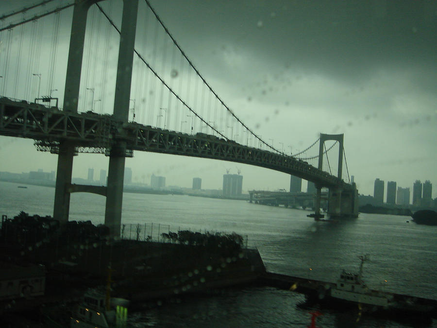 Bridge in the rain Photograph by Ming7890