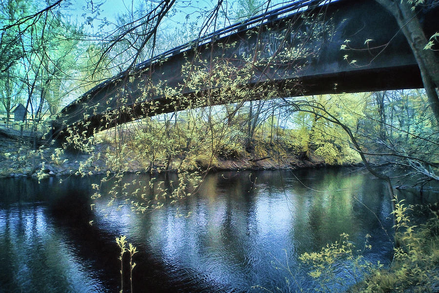 Bridge In The Woods - New England Spring Photograph