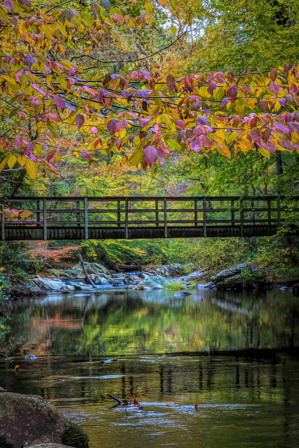 Bridge into Autumn Color Photograph by Debra and Dave Vanderlaan
