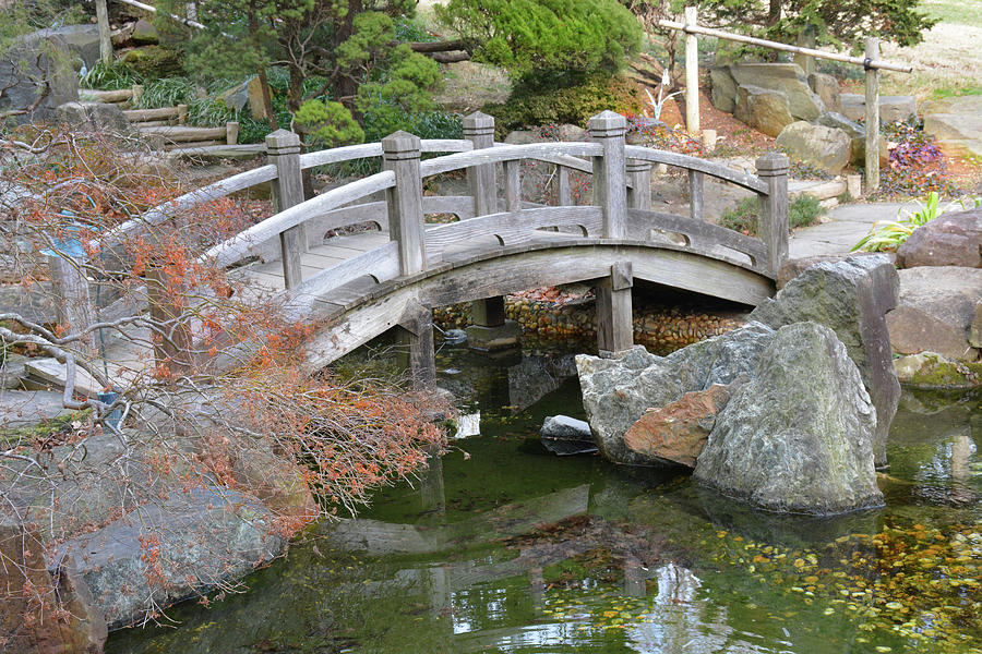 Bridge, Japanese Garden, Hillwood Estate Photograph by Jerry Griffin