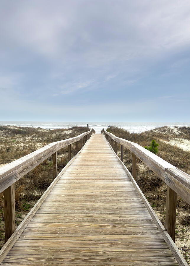 Nature Photograph - Bridge Leading to Beach on Ocean Shore by Good Focused