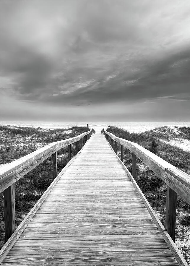Nature Photograph - Bridge Leading to Beach on Ocean Shore in Black and White by Good Focused