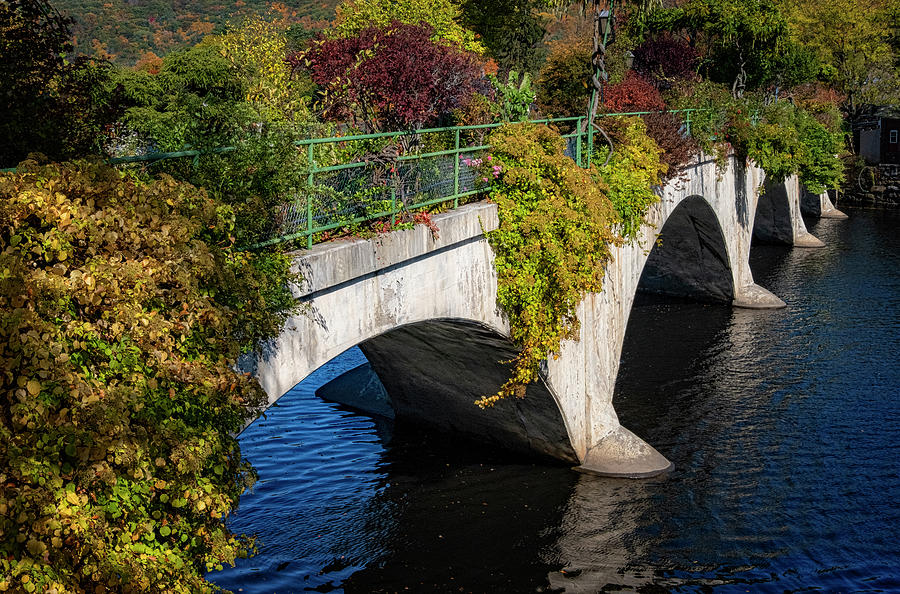 Bridge Of Flowers In Autumn Photograph by Tom Singleton