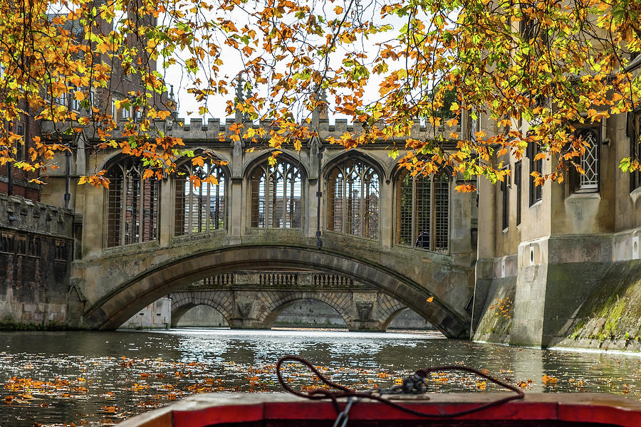 Bridge of Sighs, Cambridge in the autumn Photograph by Chris Yaxley