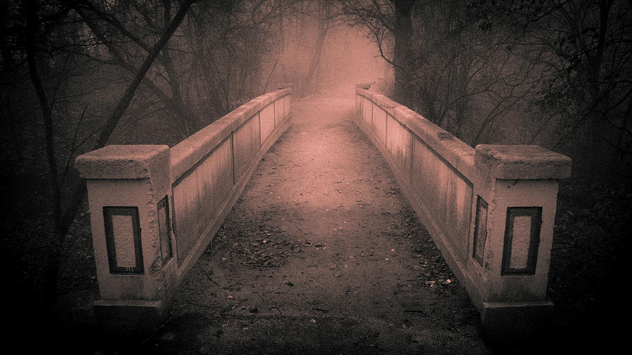 Bridge on a Foggy Morning - Dellwood Park, Lockport, Illinois Photograph by David Morehead