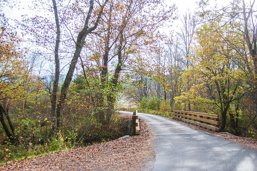 Bridge on Cades Loop Road in the Great Smoky Mountains Photograph by Bob Decker