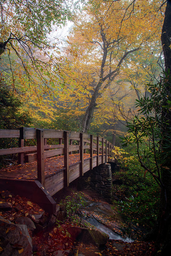 Bridge on the Tanawha Trail Photograph by Robert J Wagner