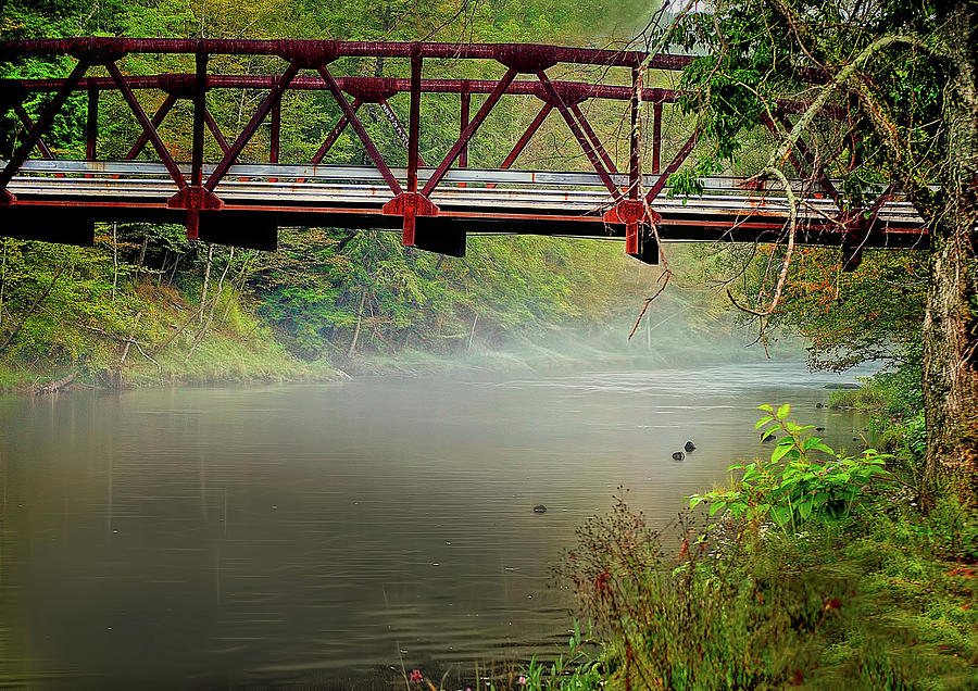 Bridge over a trout stream Photograph by Cordia Murphy