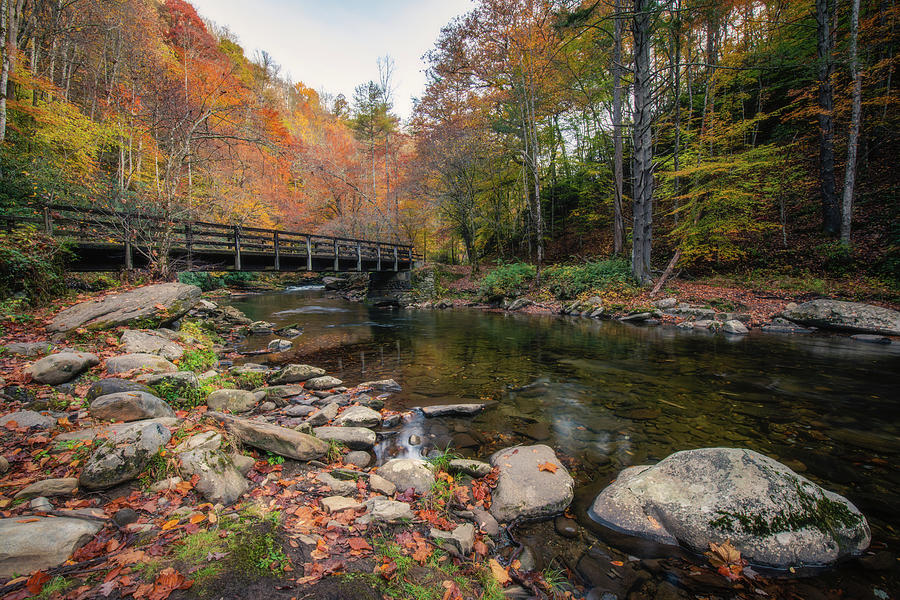 Bridge Over Deep Creek Photograph by Robert J Wagner