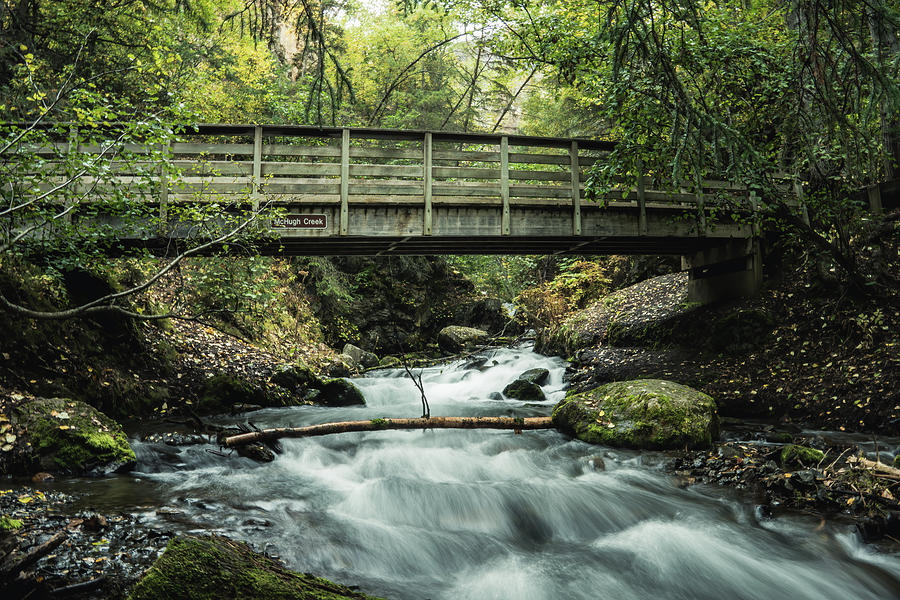 Bridge Over McHugh Creek Photograph by Frosted Birch Photography