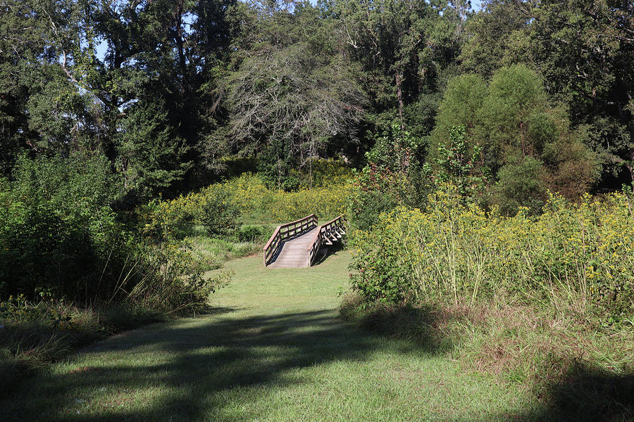 Bridge Over No Waters Photograph by Ed Williams