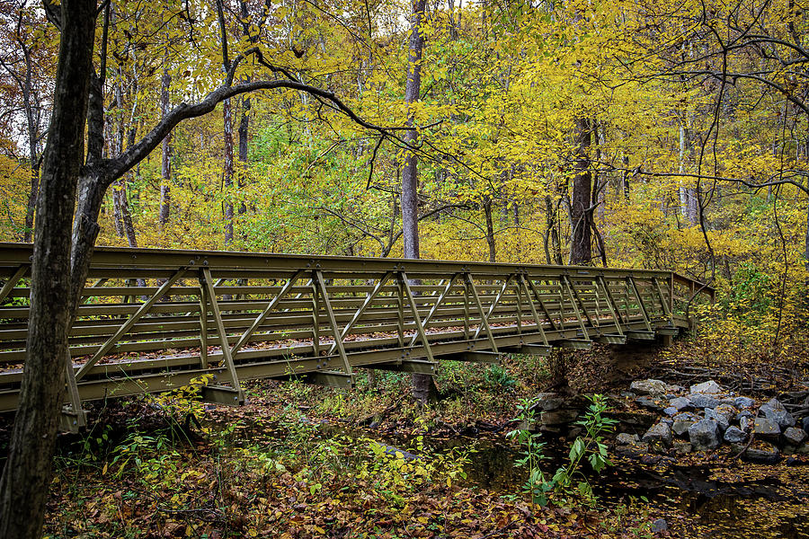 Bridge Over Piney Run Photograph By David Beard - Fine Art America