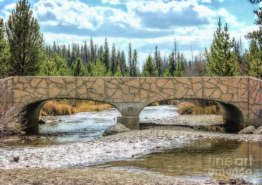 Bridge Over The Colorado Photograph