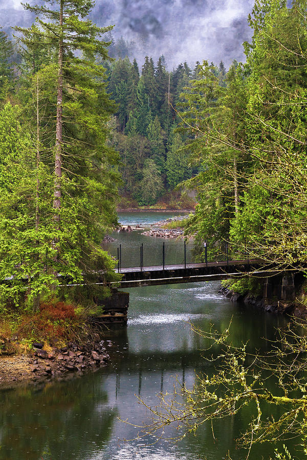 Bridge over the forest stream Photograph by Alex Lyubar