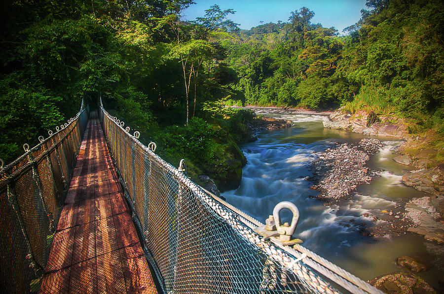Bridge Over The Pacuare Photograph by Owen Weber
