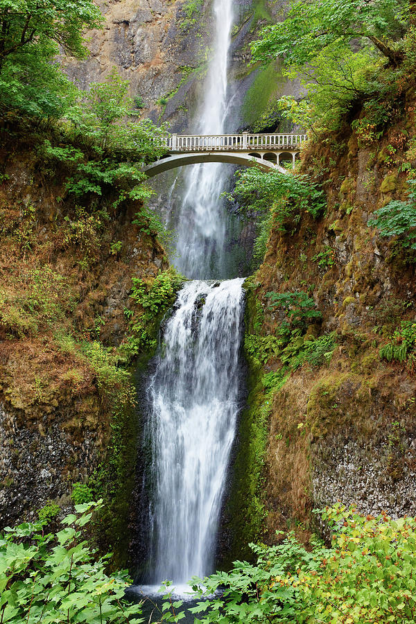 Nature Photograph - Bridge Over Tumbling Waters -- Multnomah Falls in the The Columbia River Gorge, Oregon by Darin Volpe